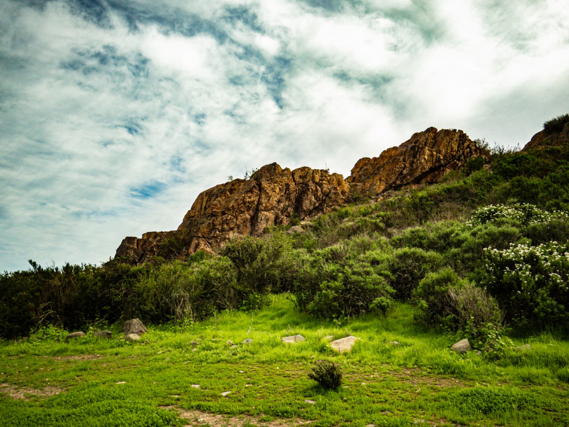 Roca entre arbustos y flores silvestres